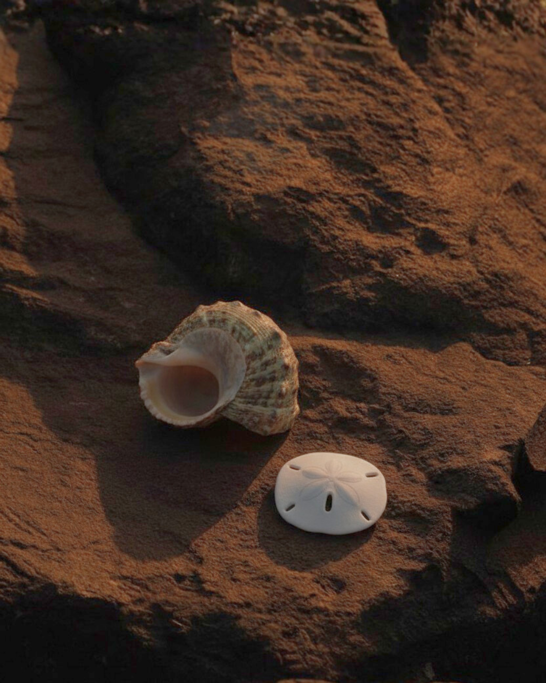 Portrait communication Framae - comprendre sa façon de penser et communiquer